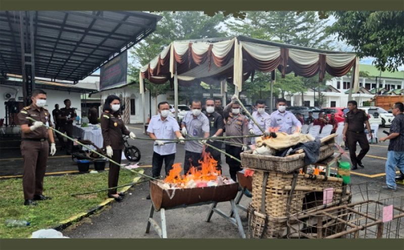 Jaksa Kejari Sergai Eksekusi BB 118 Perkara Inkracht, 141 Gram Shabu dan 56 Gram Ganja Ikut Dimusnahkan