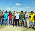 Produksi Gabah Brebes Beres