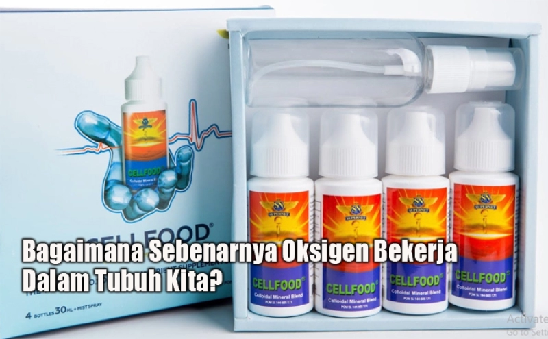Bagaimana Sebenarnya Oksigen Bekerja Dalam Tubuh Kita?