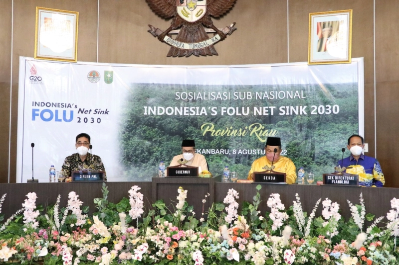 KLHK Targetkan Kelola 2,2 Juta hektar Hutan Lestari