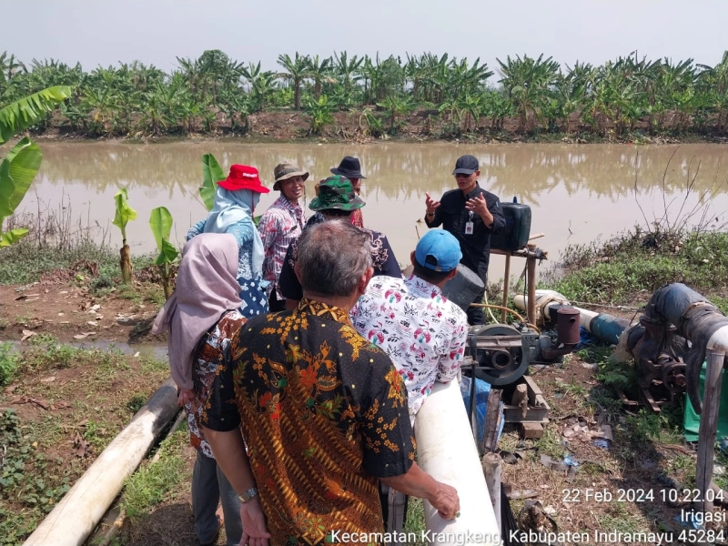 Dirjen PSP Kementan Ali Jamil Cek Langsung Ketersediaan Sarana dan Prasarana Pertanian di Indramayu dan Cirebon