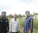 Smart Farming Membuat Sektor Pertanian Lebih Menarik bagi Generasi Muda