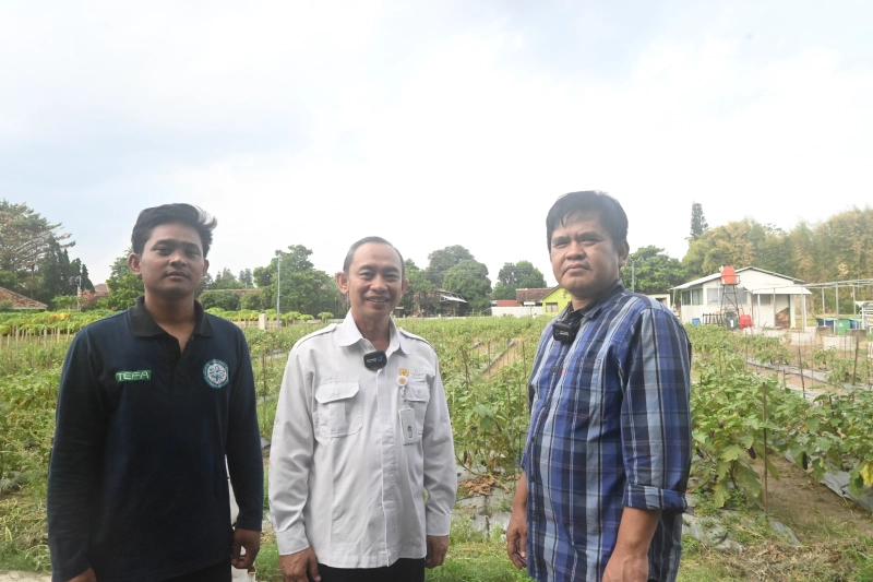 Smart Farming Membuat Sektor Pertanian Lebih Menarik bagi Generasi Muda