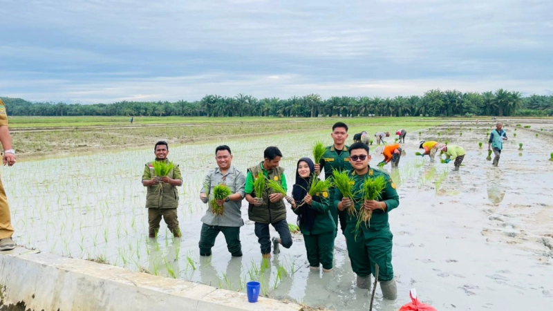 Tanam Serentak di Langkat Tandai Penutupan MT III 2025, Kolaborasi untuk Ketahanan Pangan Lokal