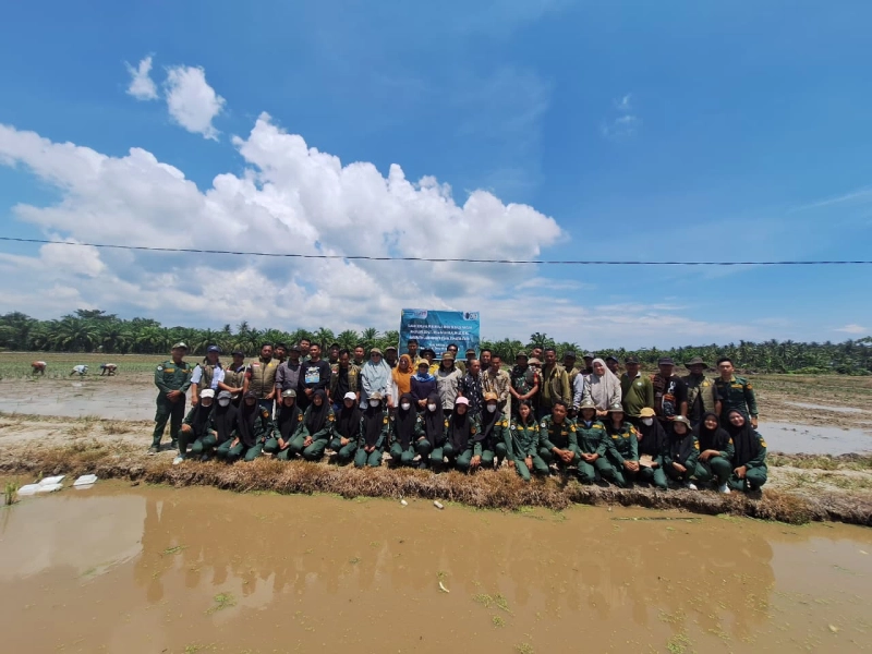 Dukung Swasembada, Brigade Pangan Tanam Bersama Penangkar Benih