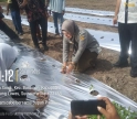 Dukung Ketahanan Pangan, Padang Lawas Gelar Tanam Cabe Bersama