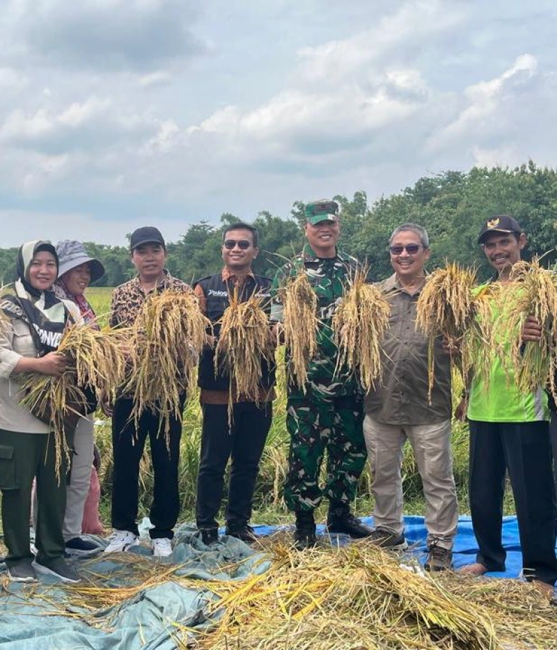 Bulog Cirebon Perkuat Peran dalam Menjaga Ketersediaan dan Stabilitas Harga Pangan