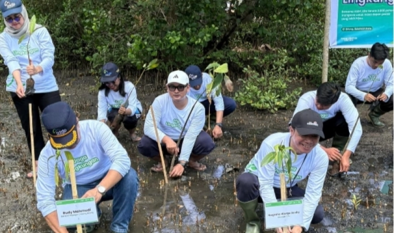 Menjaga Pantai, Menumbuhkan Harapan: ASDP Tanam 3.000 Mangrove di Mawali