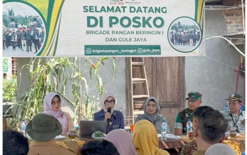 Percepat Swasembada Pangan, Konsolidasi Lahan Jadi Kunci Penguatan Brigade Pangan