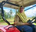 Petani Madina 'Mur Magogo