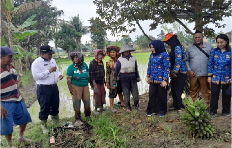 Pertanian Terintegrasi Tingkatkan Kesejahteraan Petani Deli Serdang