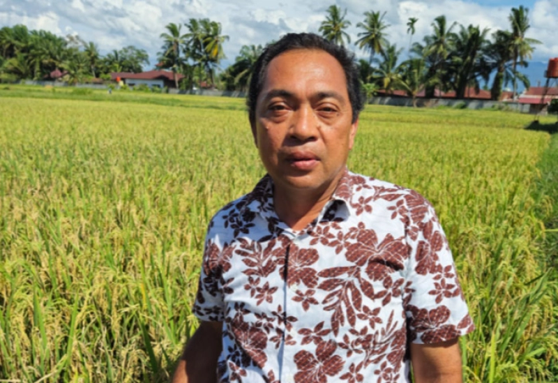 Primadona Padi Gogo Bikin Palas Kian 