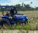 Wujudkan Swasembada Pangan, Kabupaten Serdang Bedagai Lakukan Pertanaman Musim Ketiga
