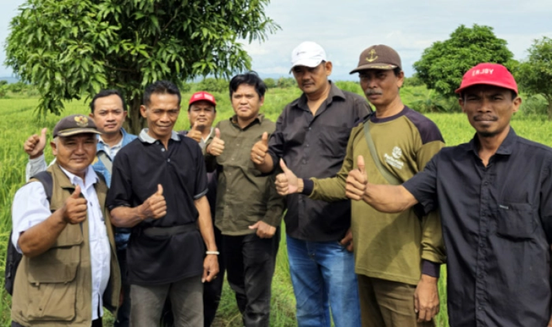 Gaung Padi Gogo dari Cikawung 
