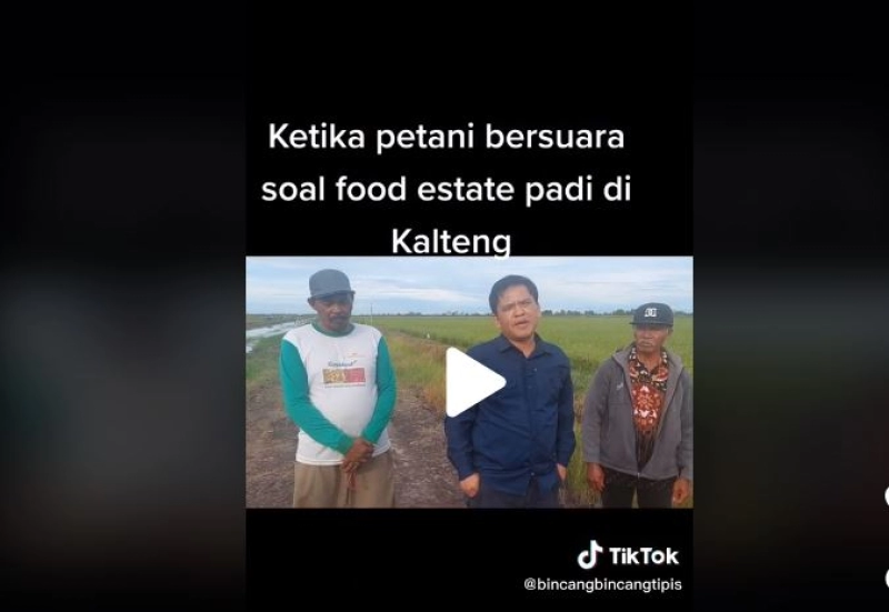 Food Estate Jadikan Desa sebagai Magnet Ekonomi