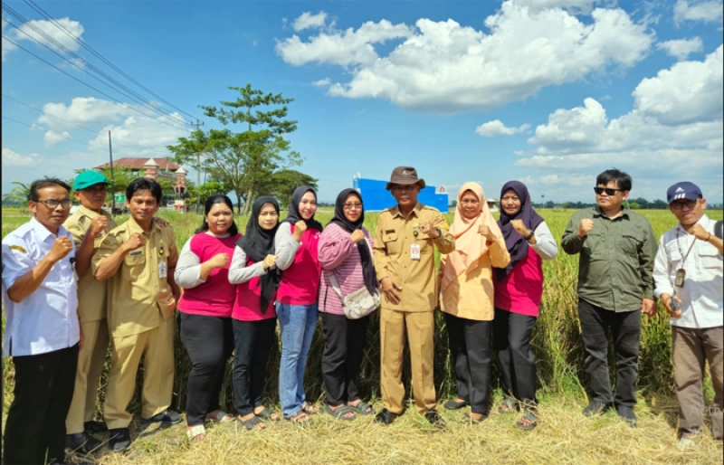 Sukoharjo Wujudkan Kemandirian Pangan dengan Modernisasi Pertanian