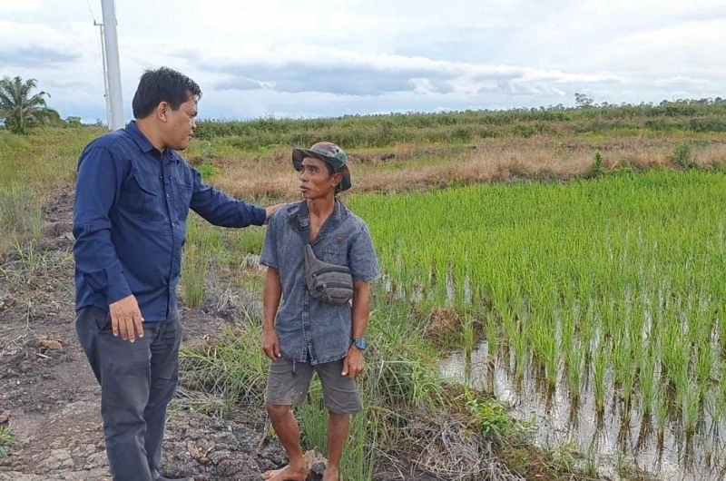 Ekstensifikasi Lahan Food Estate: Membangun dan Mengembangkan Lahan Pertanian Produktif Baru untuk Petani.