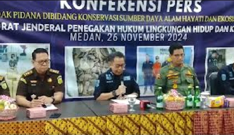 Dirjen Gakkum KLHK Amankan 4 Pelaku Perdagangan Sisik Trenggiling di Asahan