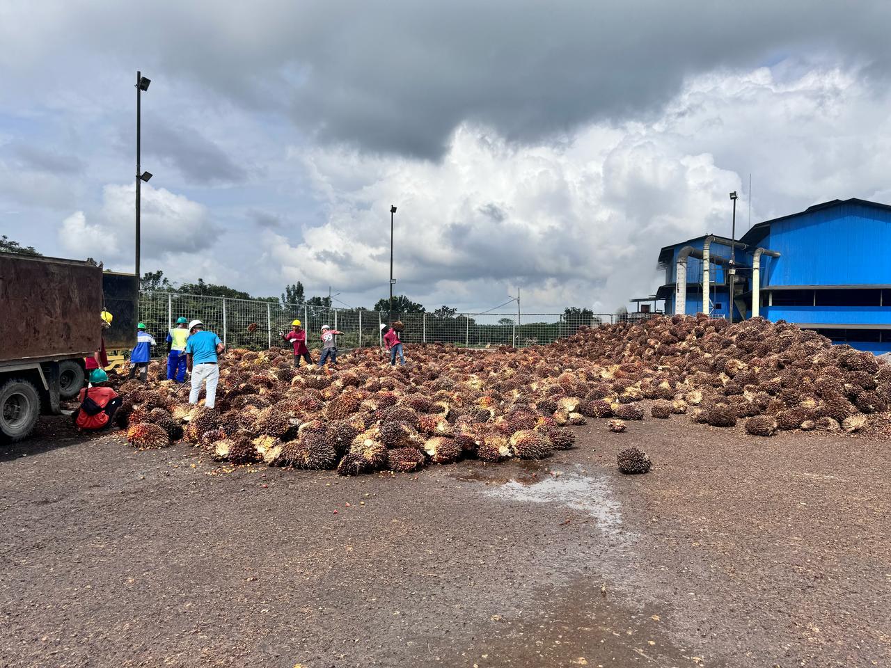 Salah satu mesin produksi PT Inecda Plantation, perusahaan yang bergerak di bidang pengolahan minyak kelapa sawit, berlokasi di Indragiri Hulu, Riau. Perusahaan ini dipasok oleh listrik hijau dan andal yang bersumber dari pembangkit energi baru terbarukan (EBT) PLN.